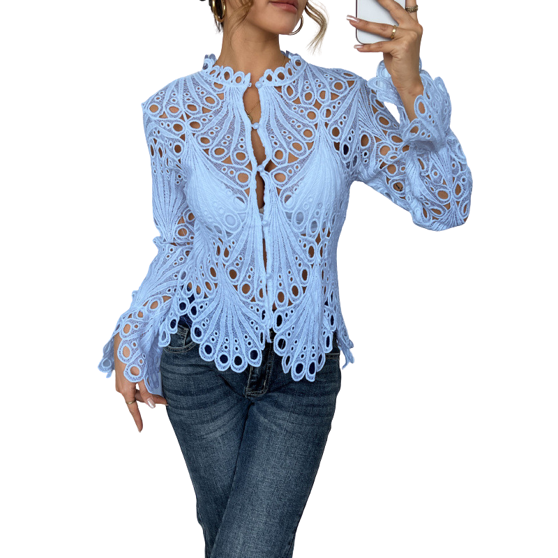 amanda-elegant-lace-cutwork-long-sleeve-blouse-img3.png