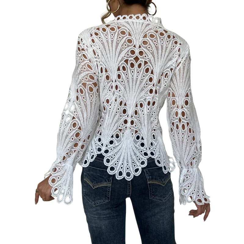 amanda-elegant-lace-cutwork-long-sleeve-blouse-img5.png