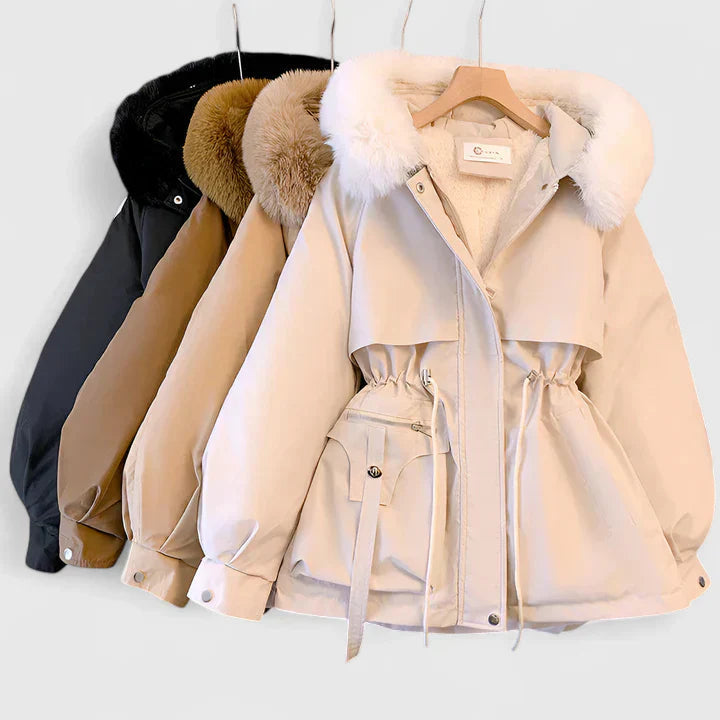 aya-elegant-jacket-img5.webp