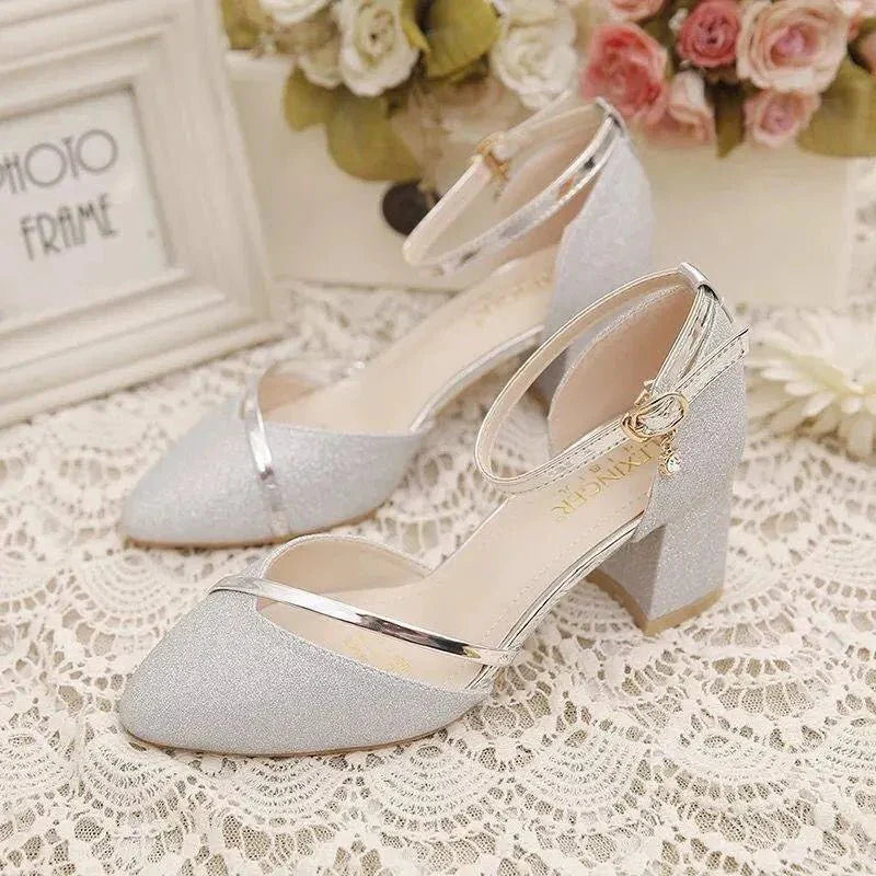 diane-elegant-ankle-strap-block-heel-pumps-img1.webp