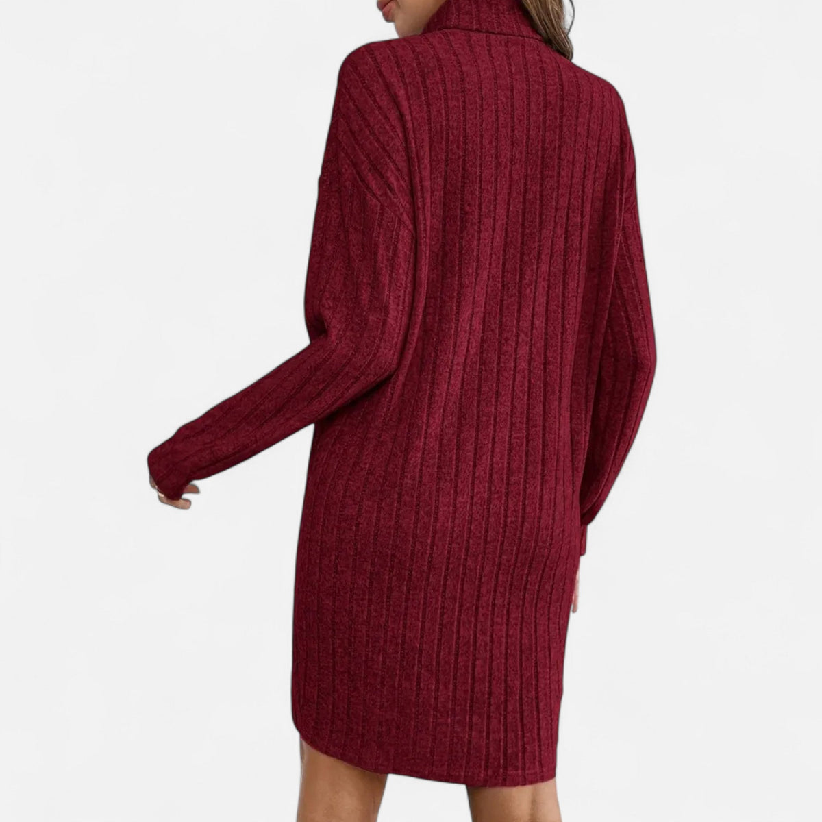 karen-sophisticated-turtleneck-knit-midi-dress-img8.jpg